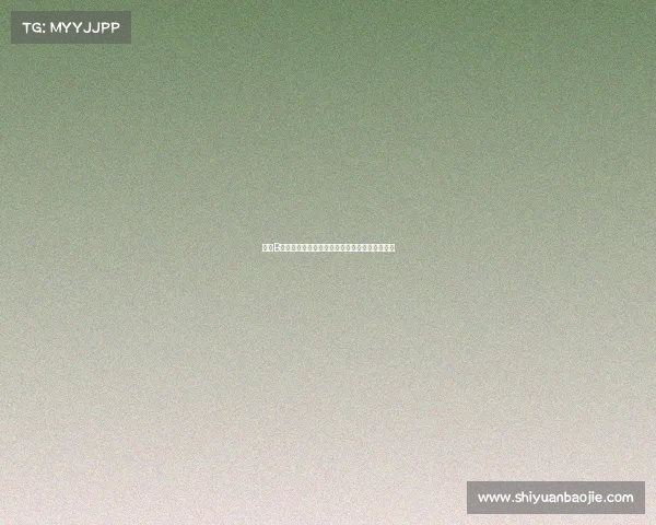 搏击B级赛事热血征程勇者无畏擂台争锋铸就辉煌篇章